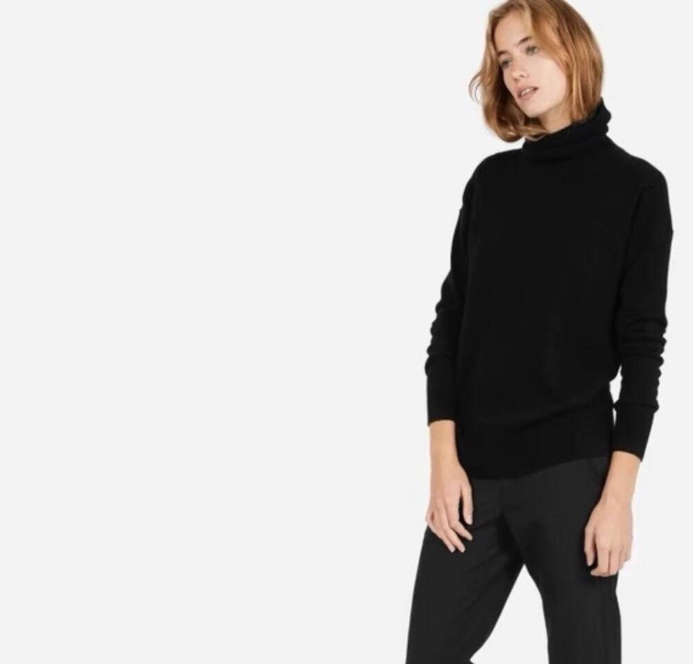 Everlane Cashmere Turtleneck Sweater In Black Size Small